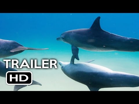 Thumbnail for video: Disneynature's Dolphins Official Trailer #1 (2017) Documentary Movie HD Thumbnail for video: Disneynature's Dolphins Official Trailer #1 (2017) Documentary Movie HD