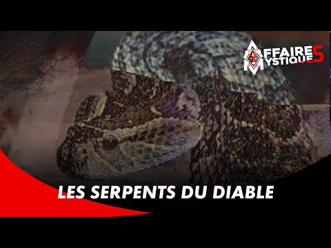 Snakes from the Island – MYSTICAL AFFAIRS (24/02/22)