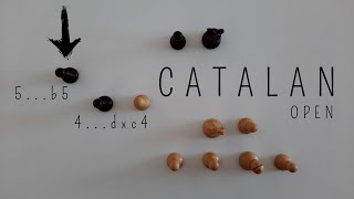 Open Catalan with 5...b5