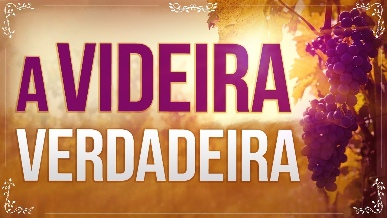 A VIDEIRA VERDADEIRA, AS VARAS E OS FRUTOS