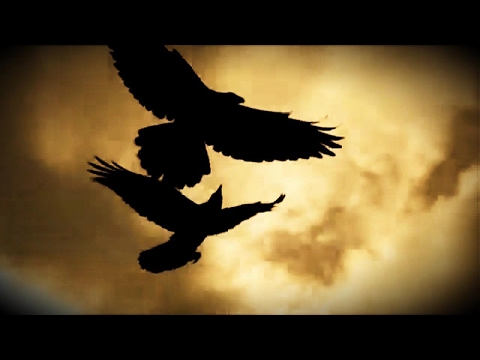 Sonne Hagal ~ The Three Ravens