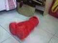 Laughing Elmo