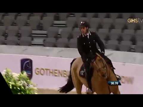 Lucifer Van De Maltahoeve