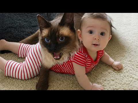 Cats Protecting Babies Like Their Own Kittens 😘😸