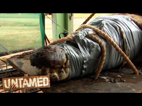 5 Hours of Full Episodes - Keeping Up With The Joneses Complete Series | Untamed