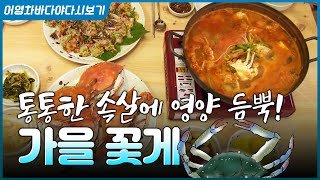 가을부터 봄까지는 암꽃게가 가장 좋을 때지요~ 보기만 해도 든든한 꽃게 요리 한상! #꽃게회 #꽃게찜 #꽃게…