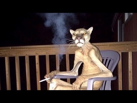 Base De Rap "Toque Tras Toque" Boom Bap Beat Tumbado Underground (uso libre)