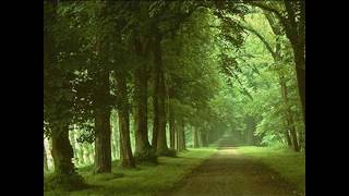 Cantares - Joan Manuel Serrat