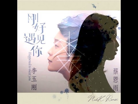 李玉剛 X 蔡恩雨 - 剛好遇見你 (MAD K Remix)