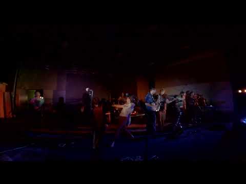 Salamander Collective - Tribal Vision 2024