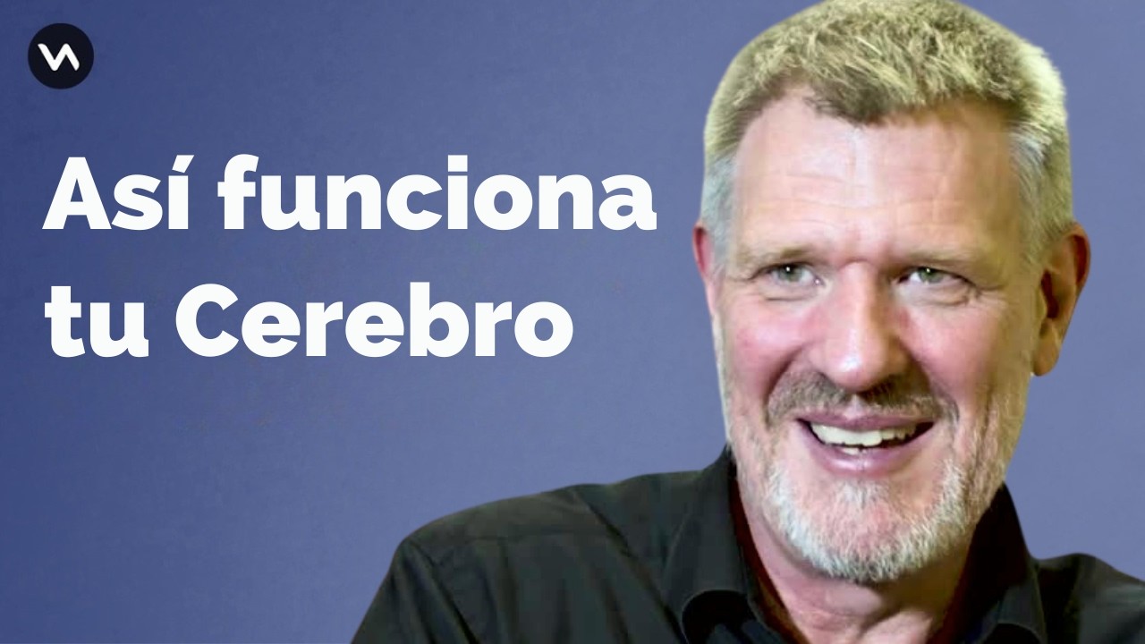 Así funciona tu cerebro. David Bueno, catedrático de neuroeducación