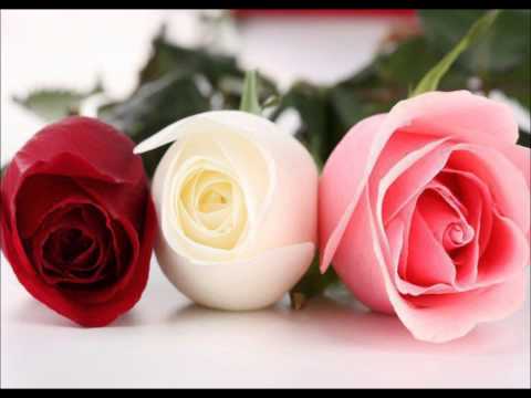 Sensiz Seviyorum Nurettin Rencber Can Demiryel - Eylül Meva