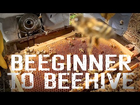 Becoming a Beekeeper - Day 1 till my first Hive.   How to start Beekeeping🐝🍯