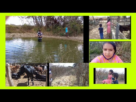 Domingo maravilhoso na roça. Teve até  pescaria.