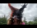 The Fearless Fighters Short Therian Movie