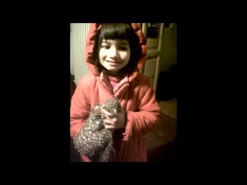 Matteo Bonfanti e i Maledetti in "Romeo"