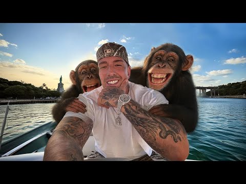 Sentino x Kubańczyk - CASABLANCA REMIX by typo g