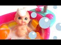 Bath Time With Baby Doll Toys Play In Bubbles Bathroom Fun Shower