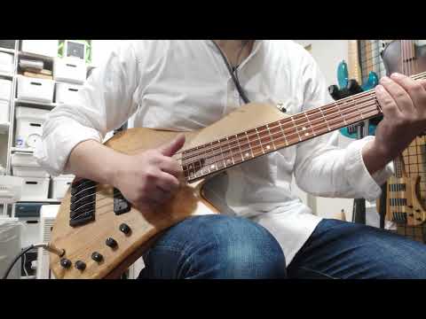 Aquilina Basses Shelby 5 Acoustic Chamber Olive Ash image 15