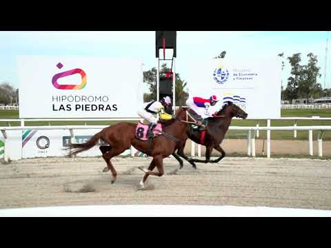 210625 c02 - OLIMPIK - HIPODROMO LAS PIEDRAS