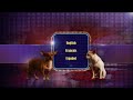Opening To Beverly Hills Chihuahua 2 2011 DVD
