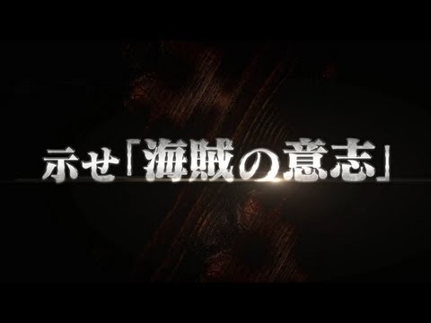 ワンピース 海賊無双2