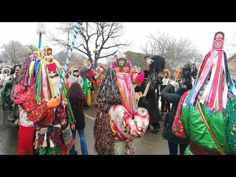 Ursul de la Blăgești 2019