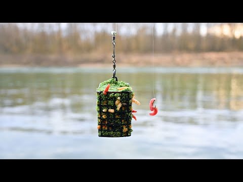 Krupne Deverike na zeleni Groundbait i smrdljive pelete-SAVA FEEDER RIBOLOV