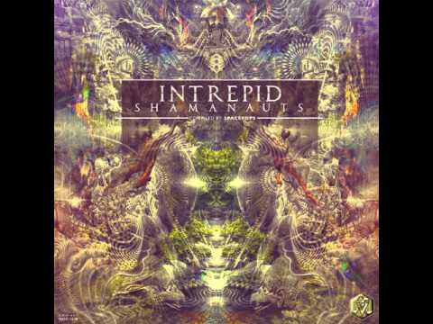 Madianbrains - Intrepid Shamanauts