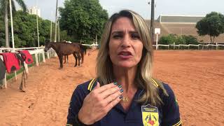 Miniatura do vídeo
