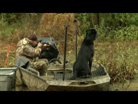 2020 SRS CROWN CHAMPIONSHIP - HUNTSVILLE, AL - SHOW 3