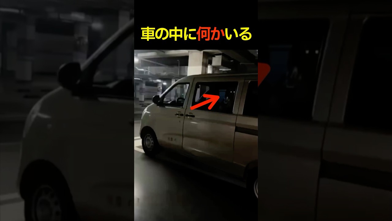 車の中に“何かいる”…開けた瞬間、まさかの光景が