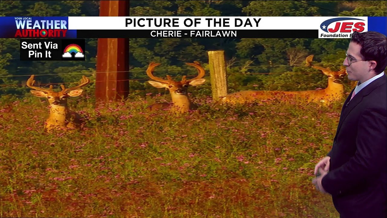 Aug. 29, 2022 Picture of the Day