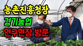 농촌진흥청장, 경기 시설디지털농업‧곤충자원 연구현장 방문