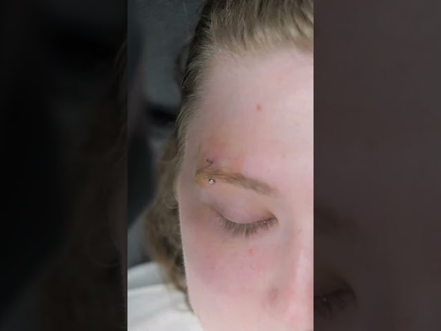 Vídeo relacionado con Glanzend Body Piercing Jewelry, 16G Acero Quirúrgico Piercing de Ceja 10 Piezas Diafragma Piercing de Ceja Barra Curvada Piercing de Labio 1,2mm Piercing Clavo de Labio 6mm 8mm 10mm 12mm 14mm