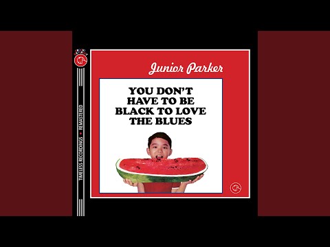 I Like Your Style (2024 Remastered Version)