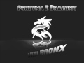 Pshtyma E Dragonit Niti-bronx