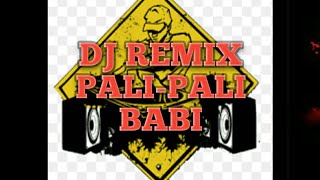 Download lagu Dj music remix- Dj Pali-pali babi mp3