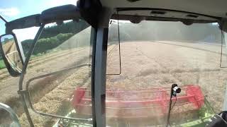 Wheat harvest 2021 day6