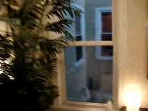 254 Somerville Ave Apt Tour