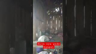 Download lagu beginilah saat hujan deras berteduh di gubuk hutan bikin ngantuk..#shorts mp3