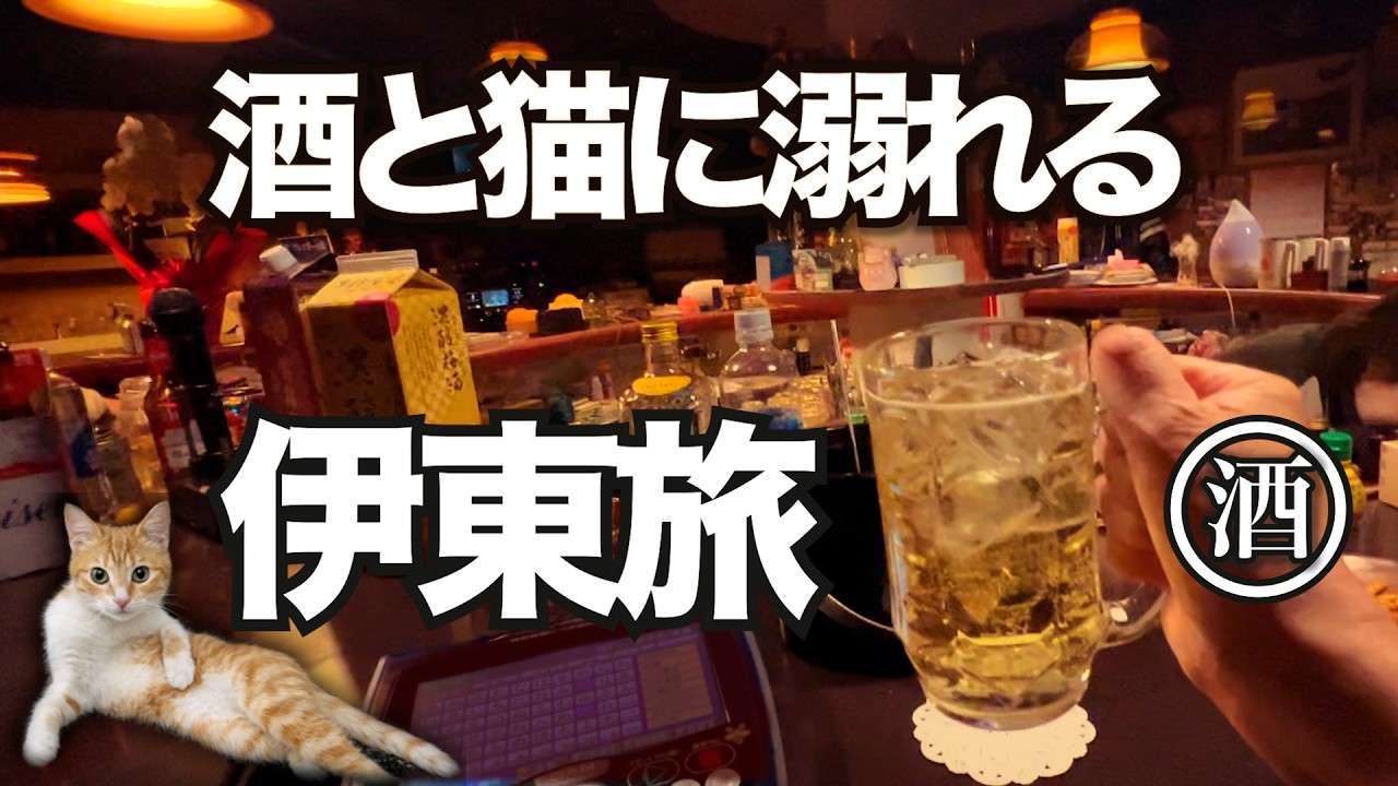 昭和スナックの夜。猫宿に泊まる伊東ひとり酒旅