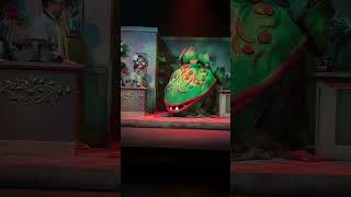 Little Shop of Horrors | Live Performance | Seymour and Audrey II