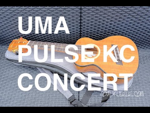 Uma Taiwan Pulse KC (fan fret) all solid acacia koa concert ukulele with Low G string Gloss image 11