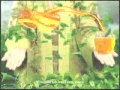 Iklan Frestea Green Tea Rasa Madu