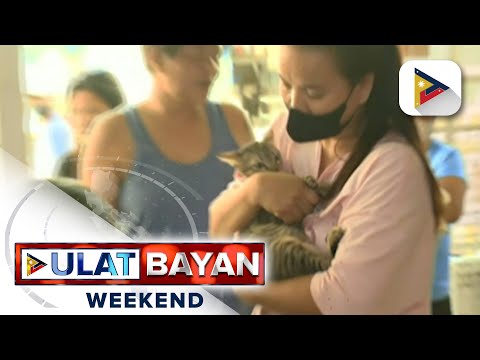 Panayam kay Philippine Animal Medical Center Veterinarian Dr. Sharlene Yao