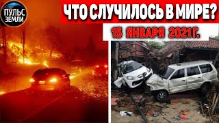 Свинка Бузя Новый Год