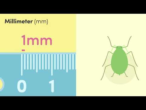 Längeneinheiten umrechnen einfach erklärt | sofatutor