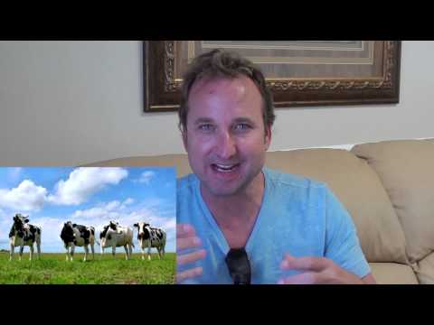 Scott's 10 day Testimonial