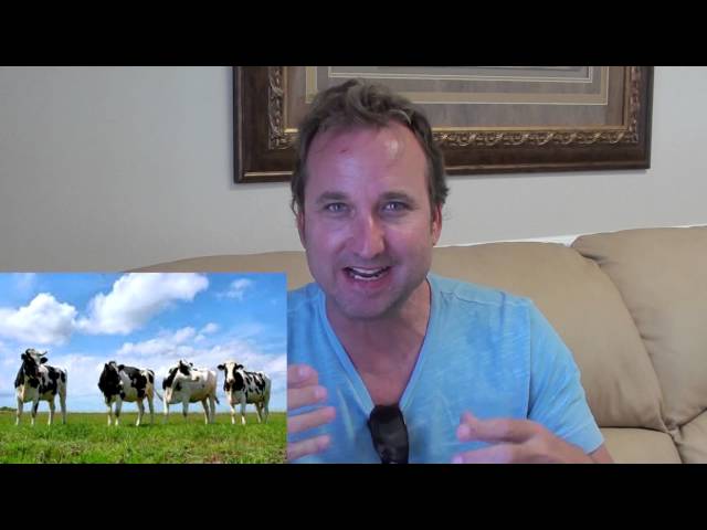 Scott's 10 day Testimonial